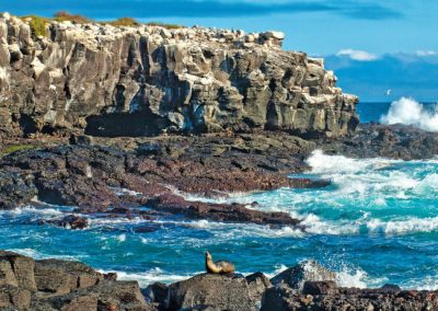 Galápagos Art and Science Journey